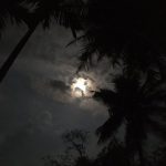 dark